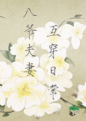 八爺夫妻互穿日常（清穿）小說封面圖