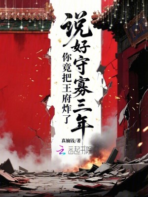 說好守寡三年，你竟把王府炸了小說封面圖