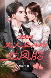 報告總裁：夫人又生對龍鳳胎！小說封面圖