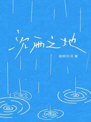 沉雨之地小說封面圖