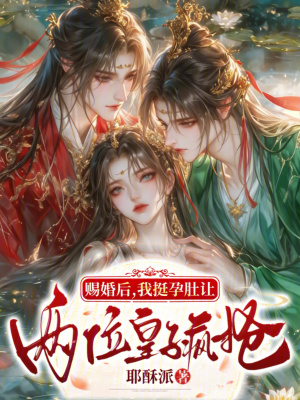 賜婚後，我挺孕肚讓兩位皇子瘋搶小說封面圖