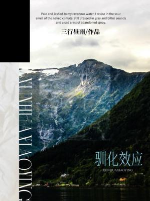 馴化效應小說封面圖