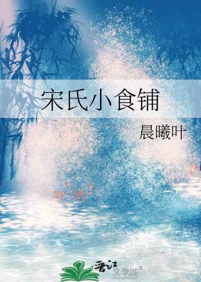 宋氏小食鋪小說封面圖
