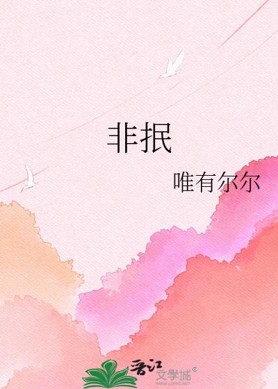非抿小說封面圖