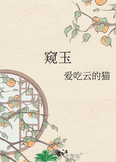 窺玉小說封面圖