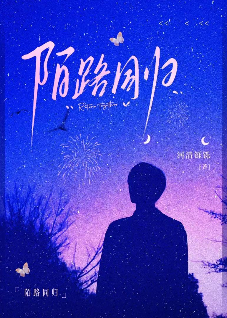 陌路同歸[破鏡重圓]小說封面圖