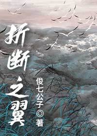 折斷之翼小說封面圖