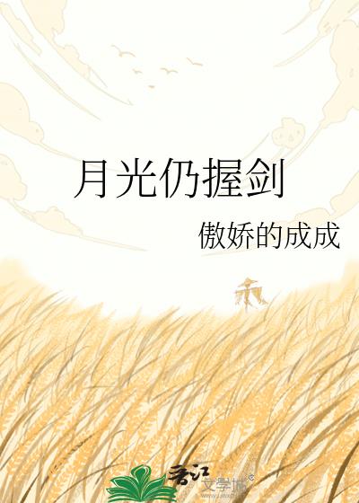 月光仍握劍小說封面圖
