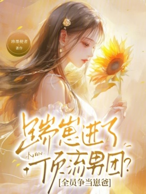 踹崽進了頂流男團？全員爭當崽爸小說封面圖