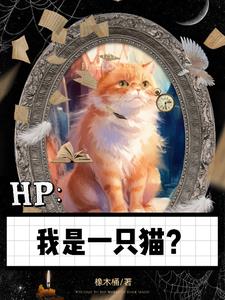 HP：我是一隻貓？小說封面圖