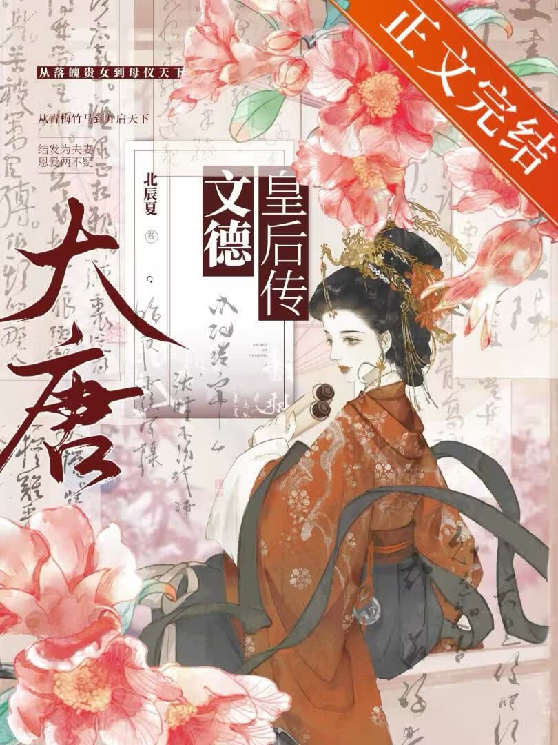 大唐·文德皇后傳小說封面圖