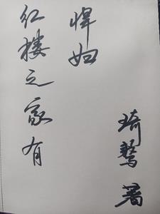 紅樓之家有悍婦小說封面圖