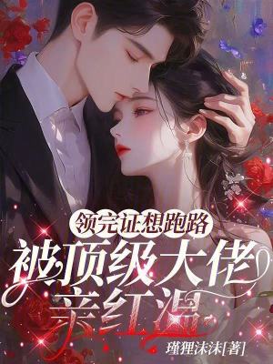 領完證想跑路，被頂級大佬親紅溫小說封面圖