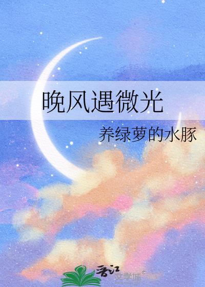 晚風遇微光小說封面圖