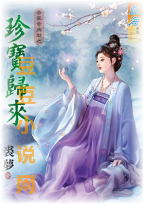 珍寶歸來小說封面圖