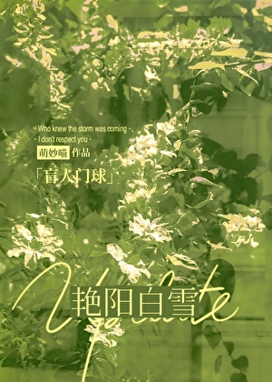 豔陽白雪[盲人門球]小說封面圖