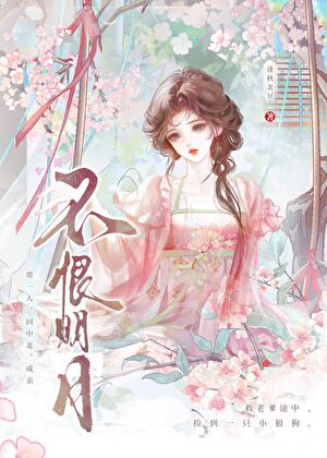 不恨明月小說封面圖