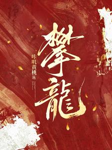 攀龍小說封面圖