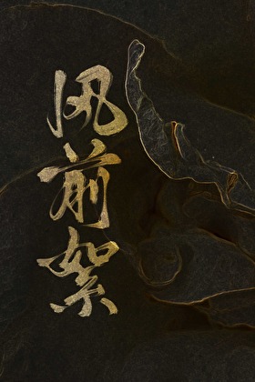 風前絮小說封面圖