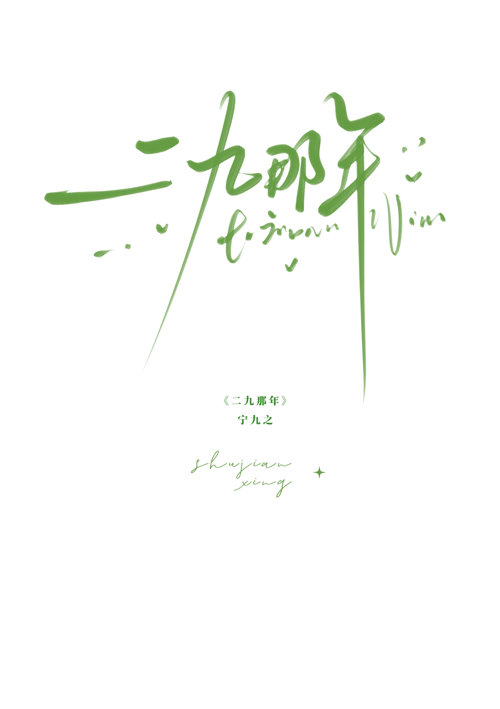 二九那年小說封面圖