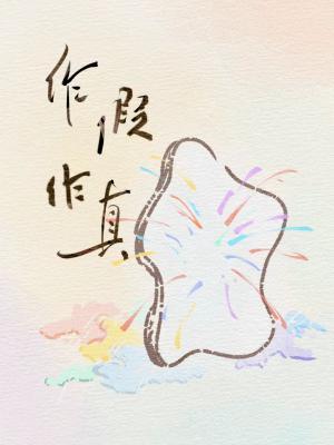 作假作真小說封面圖