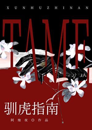 馴虎指南[gb]小說封面圖