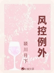 風控例外小說封面圖