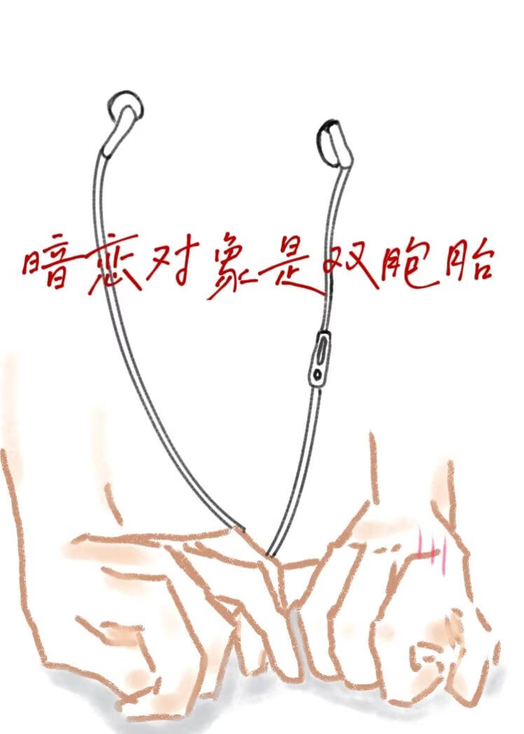 暗戀對象是雙胞胎小說封面圖