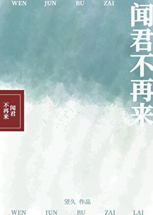聞君不再來小說封面圖