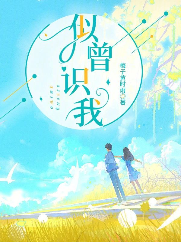 似曾識我小說封面圖