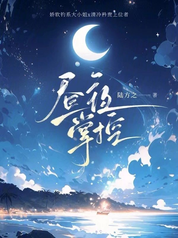 晝夜掌控小說封面圖