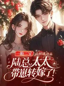 一胎二寶：陸總，太太帶崽轉嫁了！小說封面圖