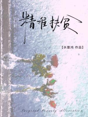精準扶貧小說封面圖