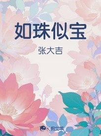 如珠似寶小說封面圖