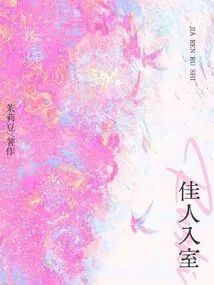 佳人入室小說封面圖