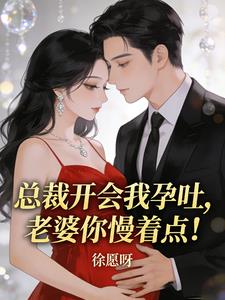 總裁開會我孕吐，老婆你慢着點！小說封面圖