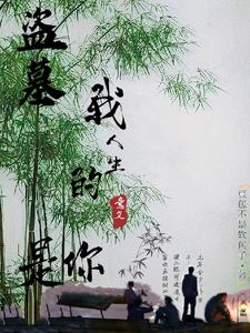 盜墓，我人生的意義是你小說封面圖