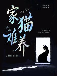 家貓難養小說封面圖