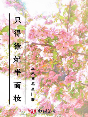 只得徐妃半面妝小說封面圖