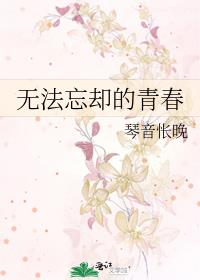 無法忘卻的青春小說封面圖