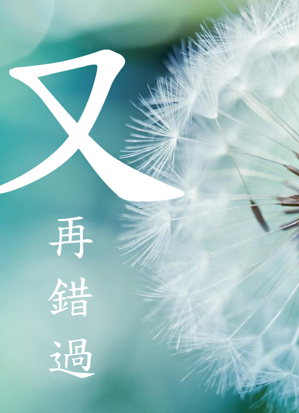 又再錯過小說封面圖