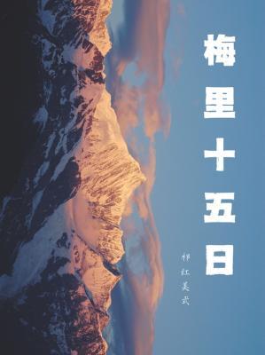 梅里十五日小說封面圖