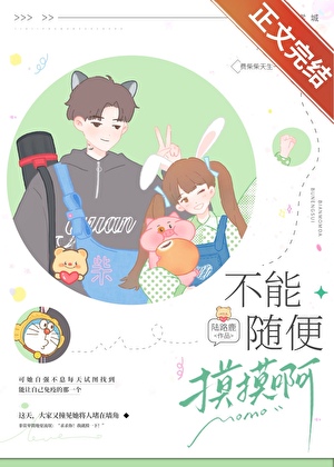 不能隨便摸摸啊小說封面圖