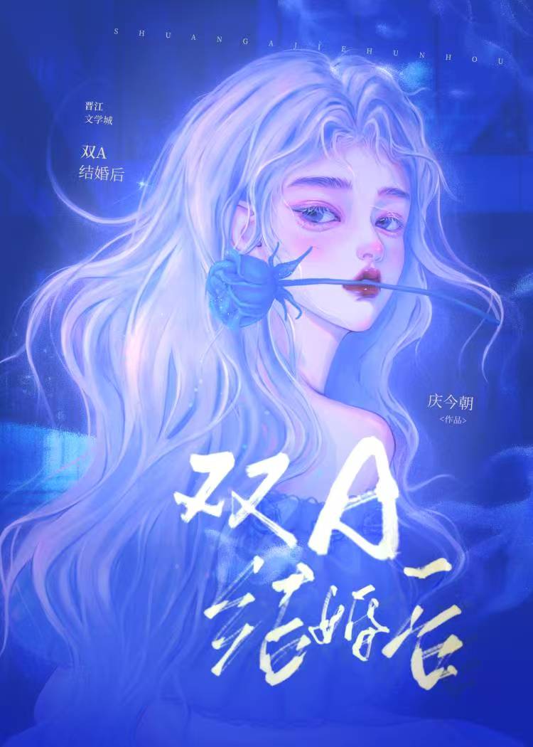 雙A結婚兩年後小說封面圖