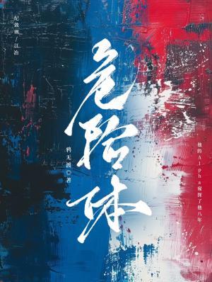 危險體小說封面圖