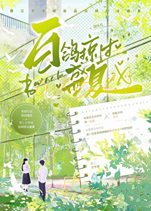 白鴿掠過盛夏小說封面圖