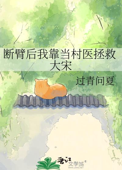 斷臂後我靠當村醫拯救大宋小說封面圖