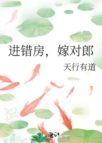 進錯房，嫁對郎小說封面圖