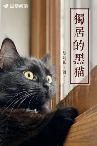 獨居的黑貓小說封面圖