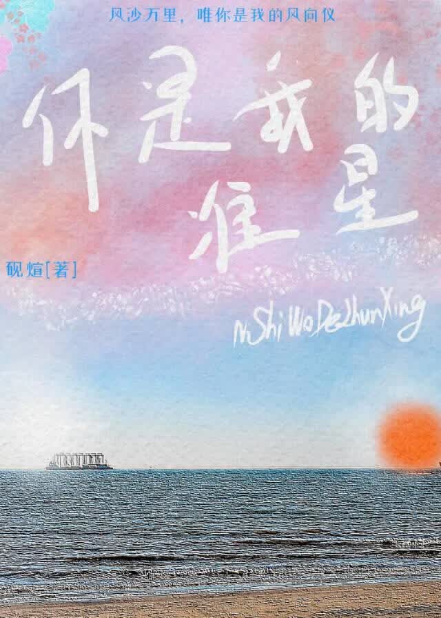 你是我的準星小說封面圖